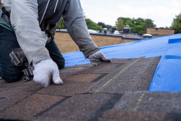 Roof Waterproofing Services in Dunsmuir, CA